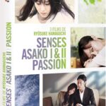 Ryūsuke Hamaguchi senses asako I et II passion dvd arte video film