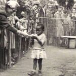 zoos humains exposition coloniale belgique offre banane enfant noir