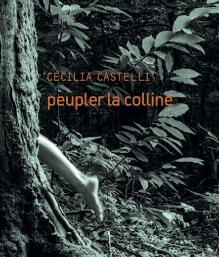 Peupler la colline de Cécilia Castelli aux Éditions Le Passage
