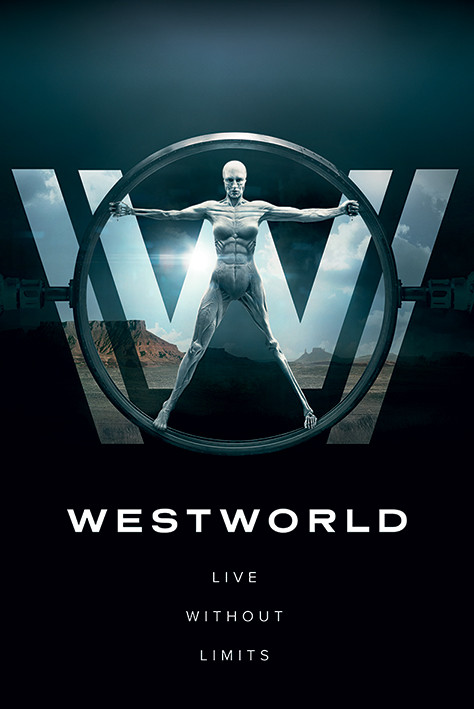 Westworld, la série entre western et science-fiction !