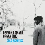 Delvon Lamarr Organ Trio également connu sous le nom DLO3 est un groupe de soul jazz américain fondé en 2015